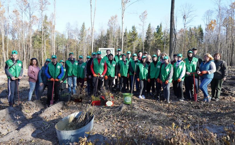 Житомирська політехніка долучилась до акції “Висадження дерев 1 мільйоном людей за добу” в рамках проекту “Озеленення планети”